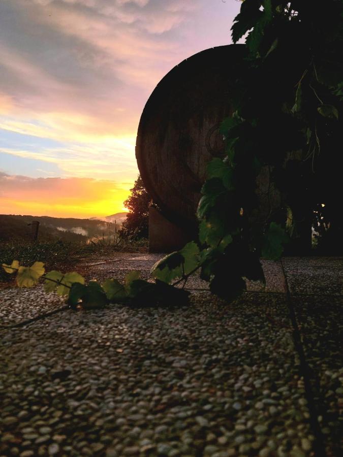 Zerko Holiday Home - Vineyard Chalet With Sauna And Jacuzzi Free Mirna Zewnętrze zdjęcie