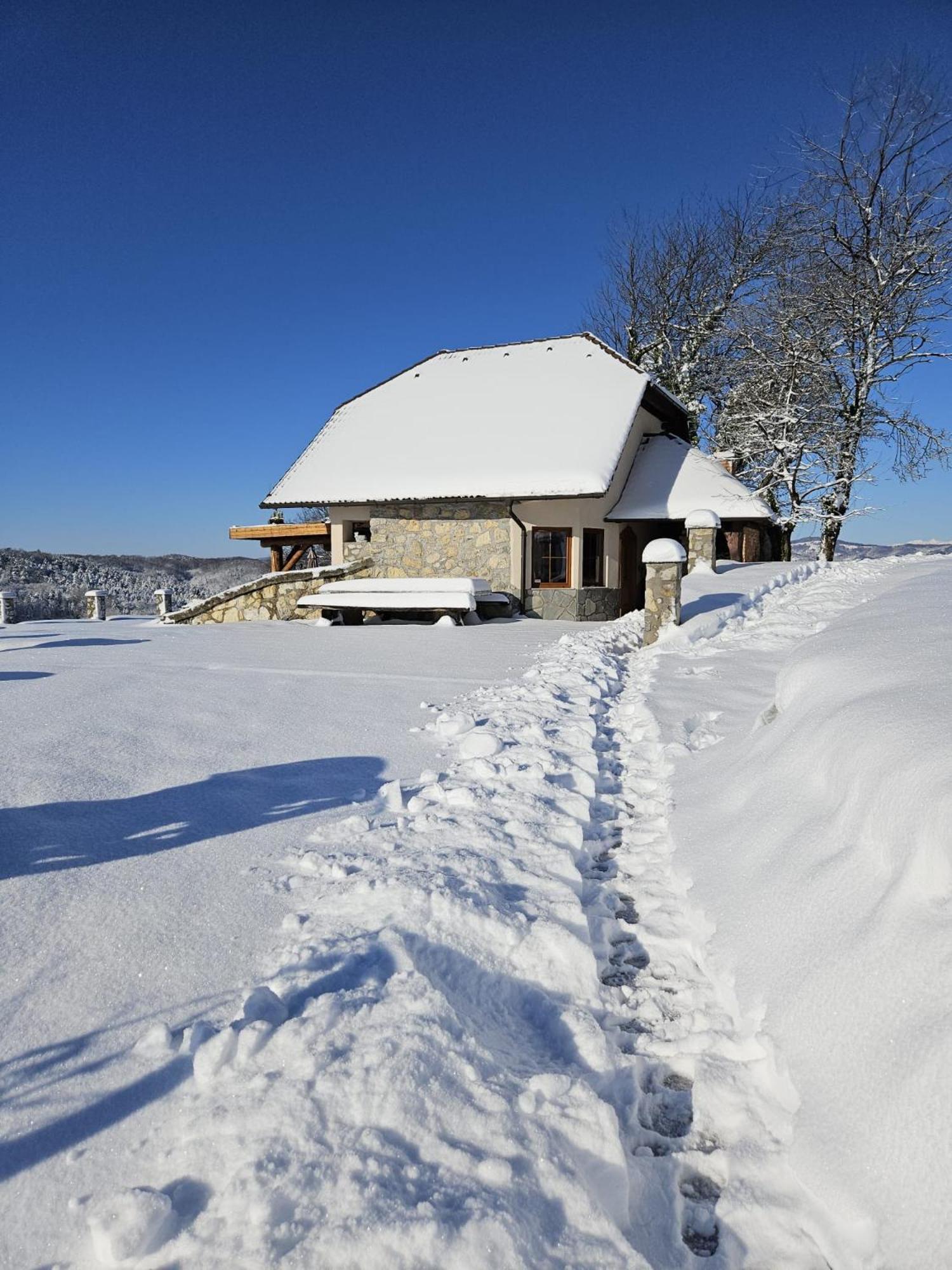 Zerko Holiday Home - Vineyard Chalet With Sauna And Jacuzzi Free Mirna Zewnętrze zdjęcie