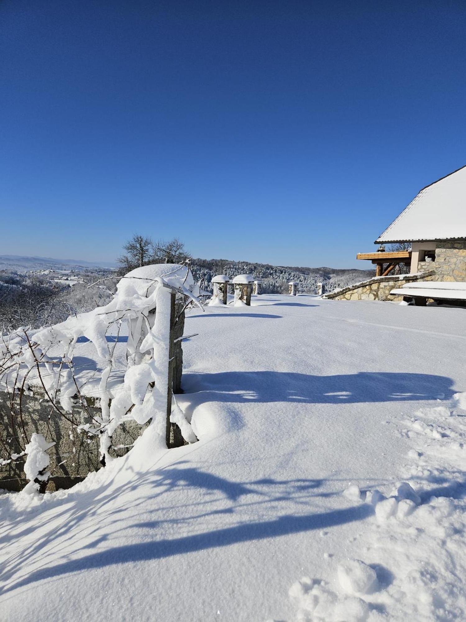 Zerko Holiday Home - Vineyard Chalet With Sauna And Jacuzzi Free Mirna Zewnętrze zdjęcie