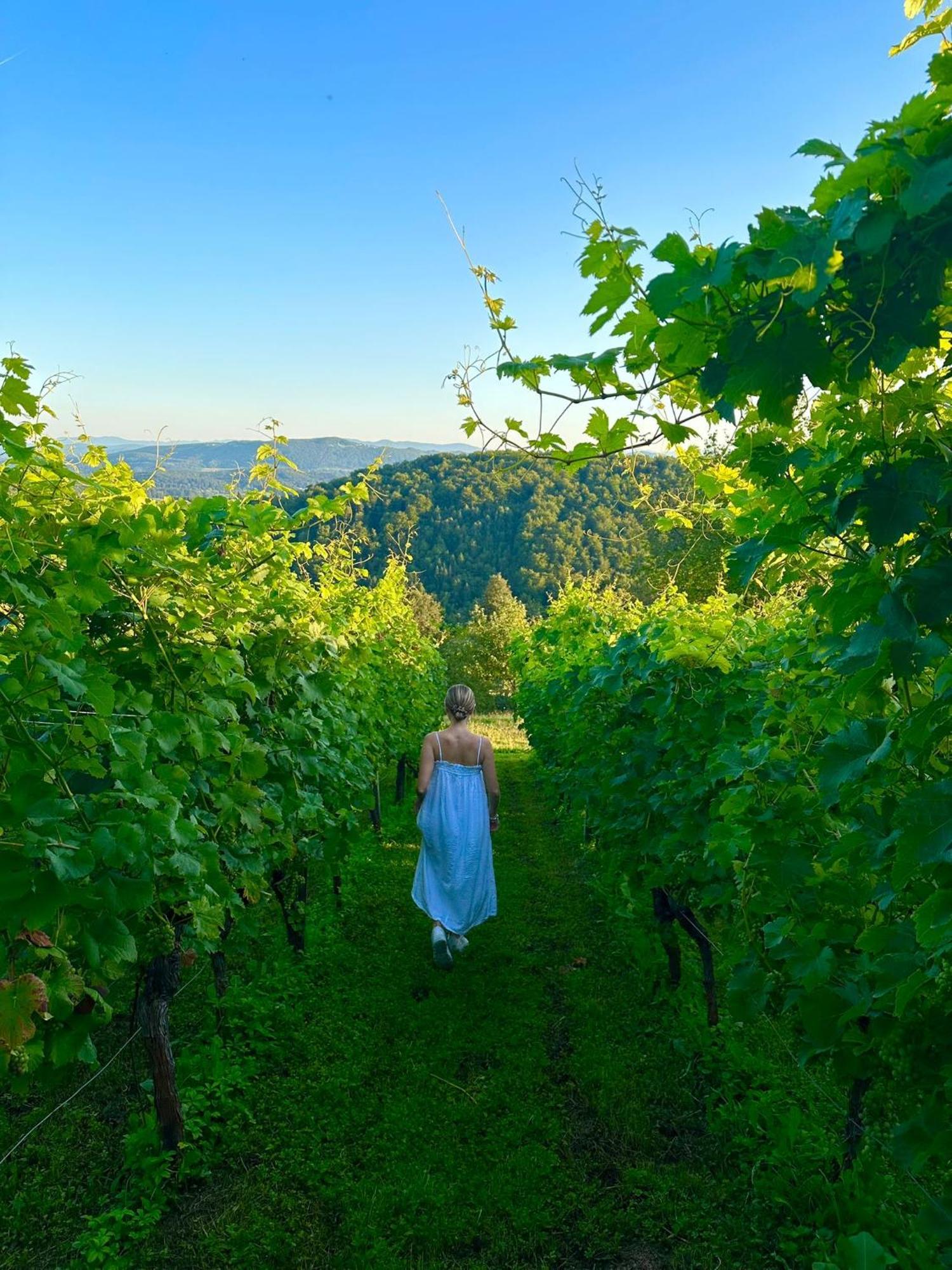 Zerko Holiday Home - Vineyard Chalet With Sauna And Jacuzzi Free Mirna Zewnętrze zdjęcie