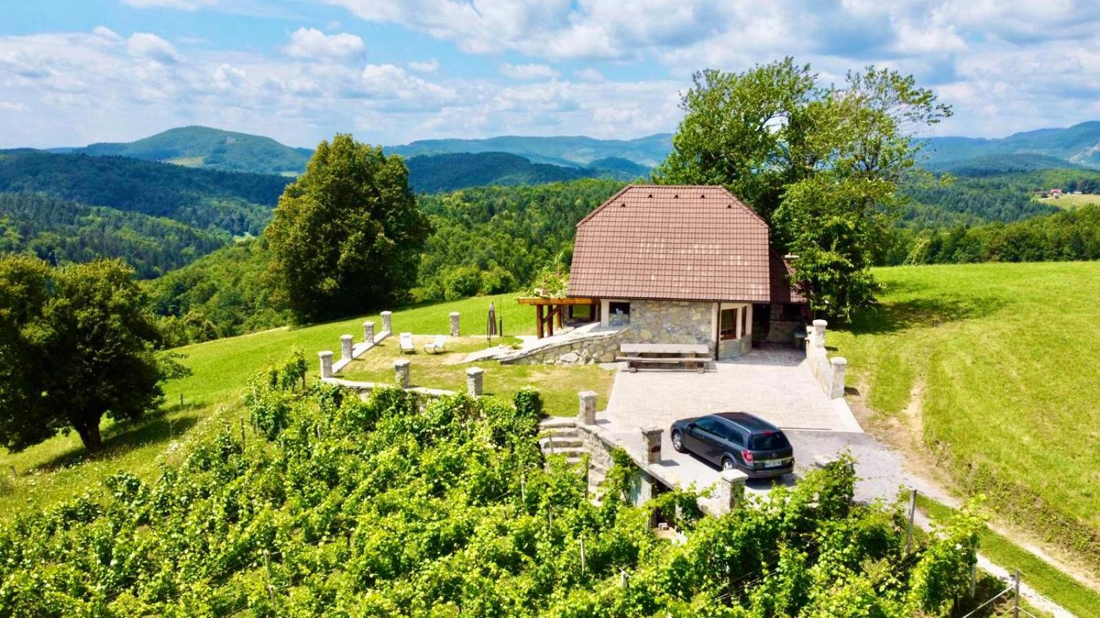 Zerko Holiday Home - Vineyard Chalet With Sauna And Jacuzzi Free Mirna Zewnętrze zdjęcie