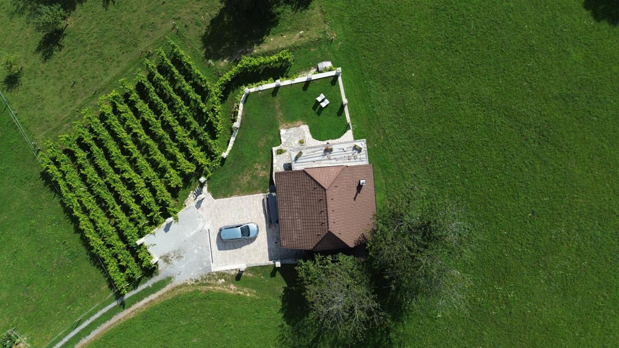 Zerko Holiday Home - Vineyard Chalet With Sauna And Jacuzzi Free Mirna Zewnętrze zdjęcie
