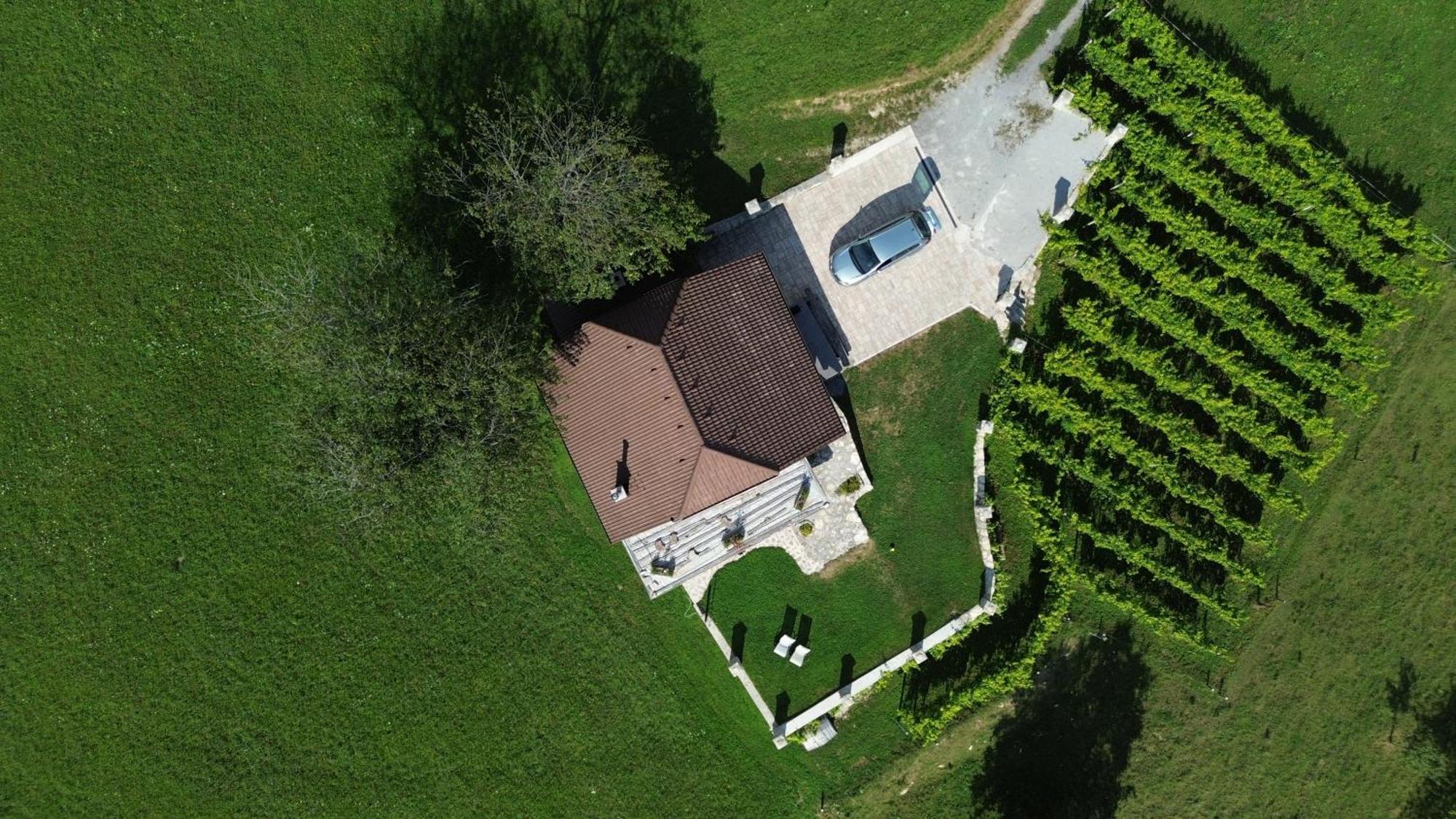 Zerko Holiday Home - Vineyard Chalet With Sauna And Jacuzzi Free Mirna Zewnętrze zdjęcie